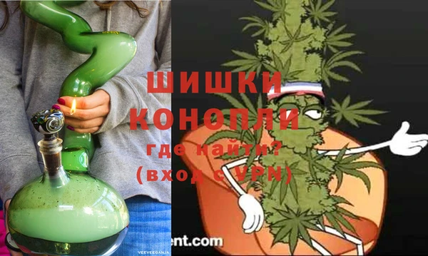 сатива Снежногорск