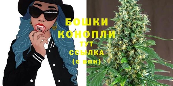 спайс Вяземский